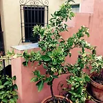 Conde De Cardenas Hotel 2*