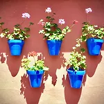 Hotel Conde De Cardenas