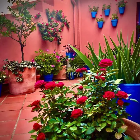 Hotel Conde De Cárdenas