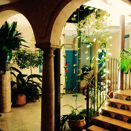 孔德去卡德纳斯酒店 2* 科爾多瓦