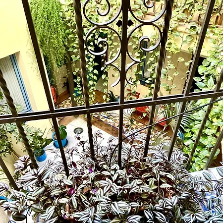 Hotel Conde De Cárdenas Córdoba