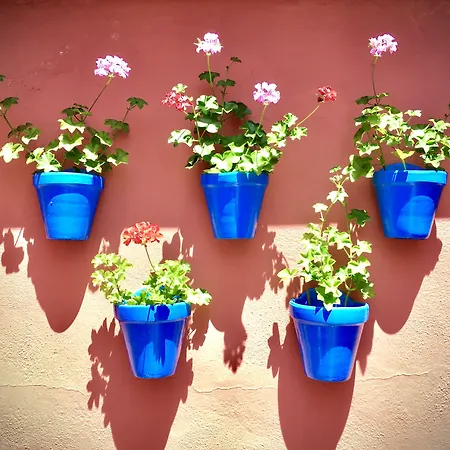 Hotel Conde De Cárdenas