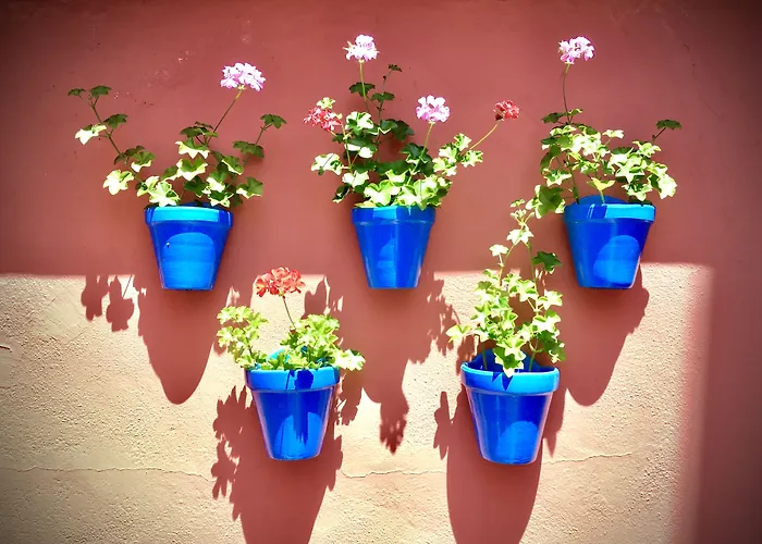 Hotel Conde De Cárdenas