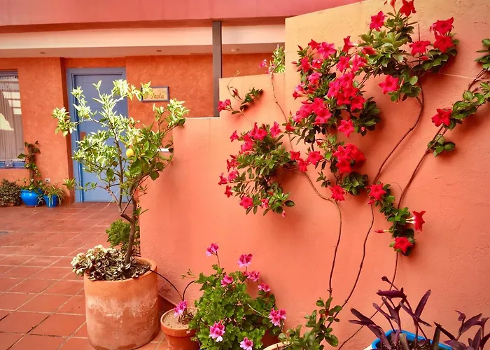 Conde De Cardenas 2*