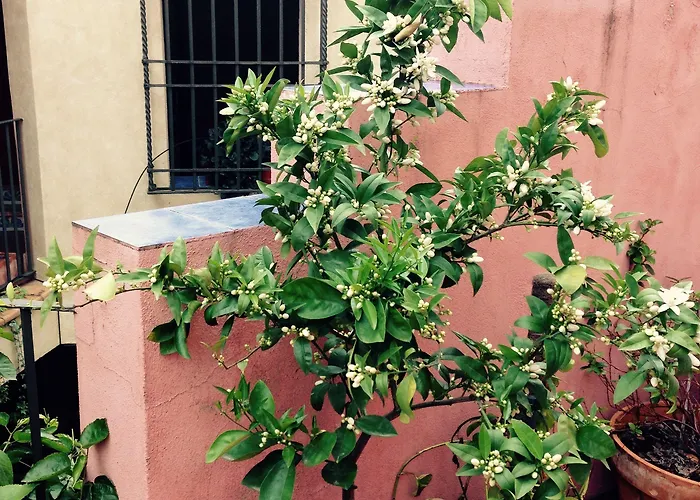 Conde De Cardenas Отель 2*