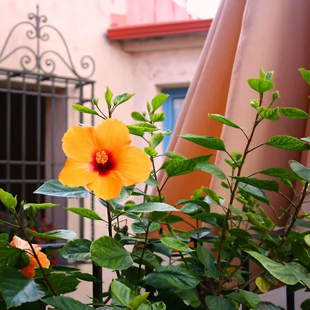 Hotel Conde De Cárdenas Córdova