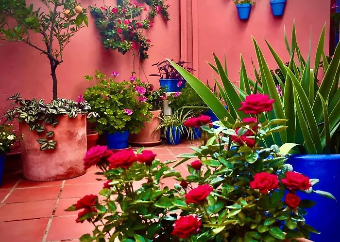 Hotel Conde De Cárdenas